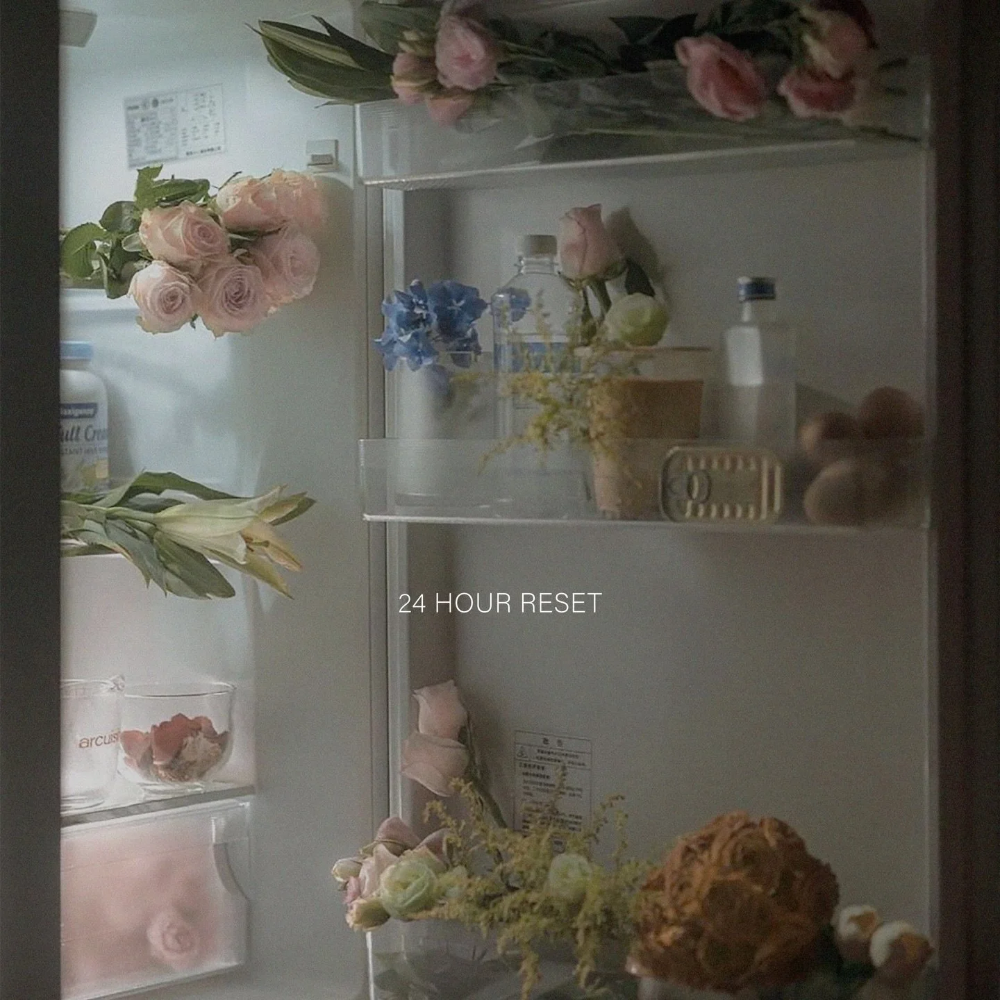 24 HOUR RESET ~ rituals to empty + revive + renew + re-energise your energetic space.

When the sky moves you must also create an opening ✨