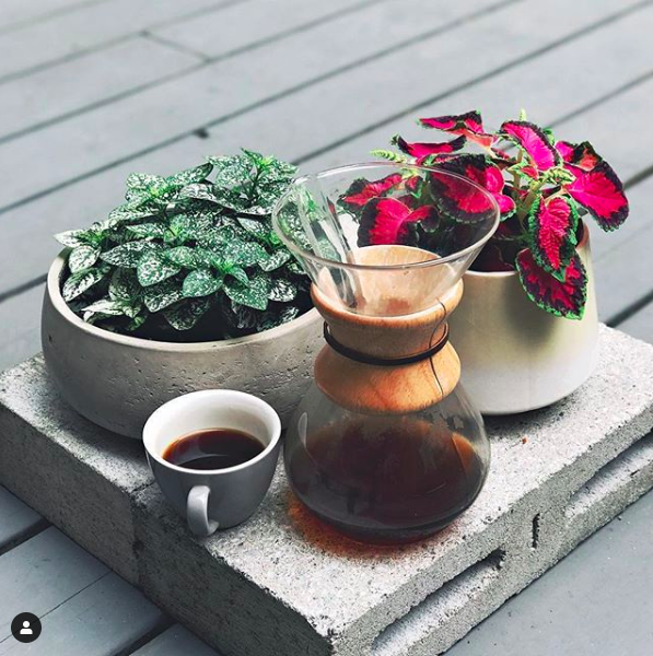 La+Finca+-+Boutique+-+Chemex+6.png