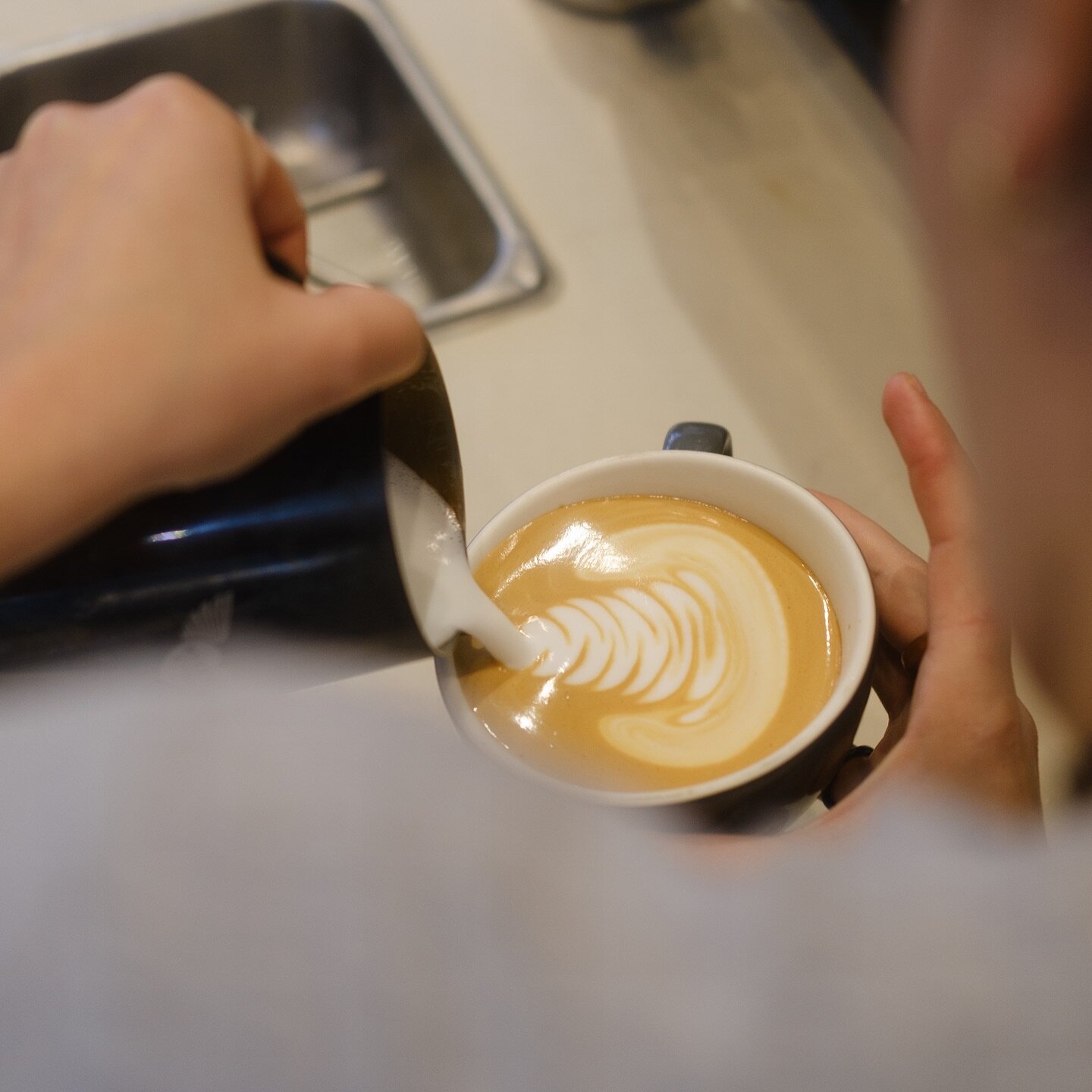 Rien de mieux qu&rsquo;un bon latte pour commencer la journ&eacute;e. Pis on s&rsquo;applique toujours pour faire le plus beau latte art 🤌🏼
.
.
#lafincamtl #caf&eacute; #coffee #montreal #mtl #specialtycoffee #latteart #latte #lafincamtl