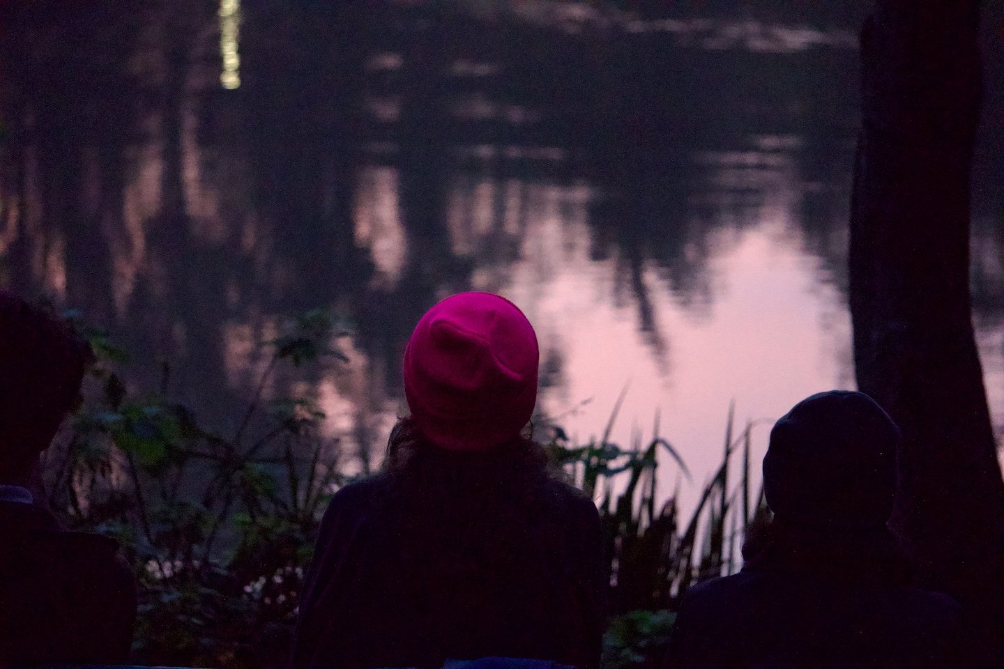 Mallard Lake 2, Golden Gate Park, 2024