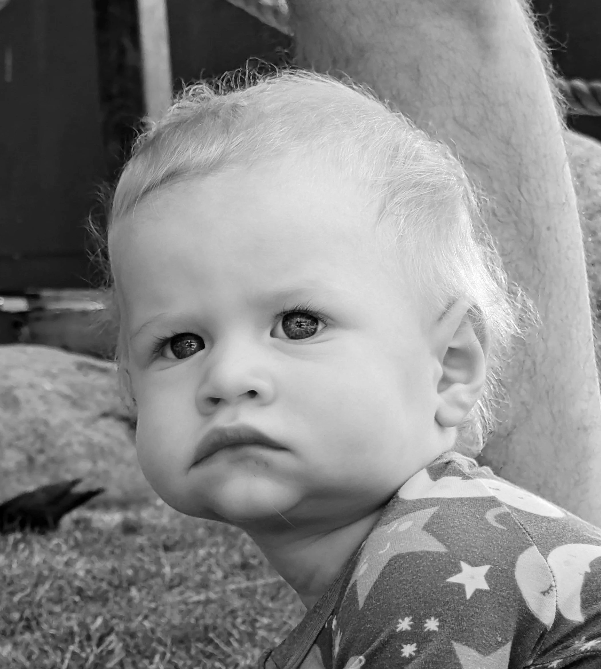 Everett, 9 months, 2025