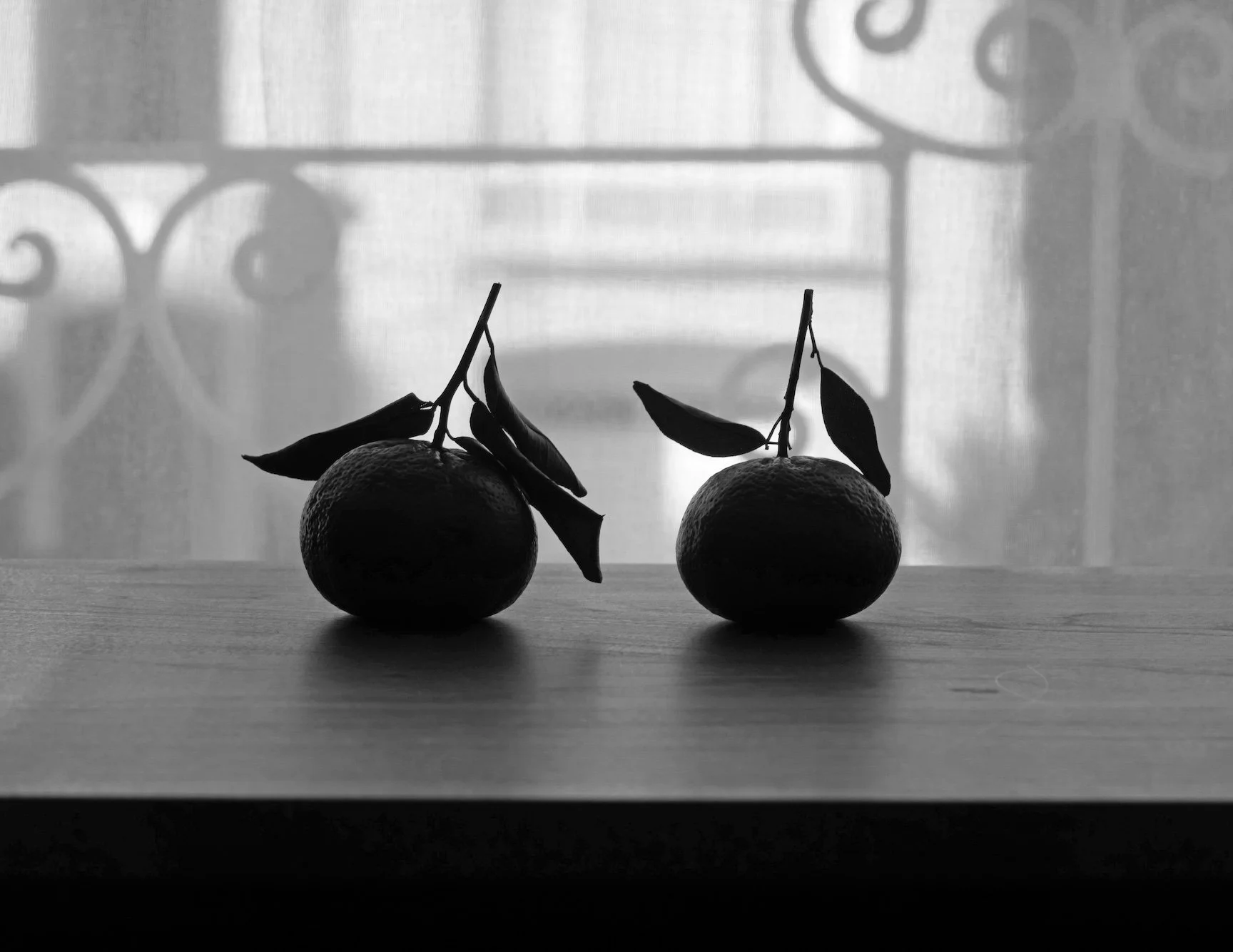 Zen Tangerines, 2025