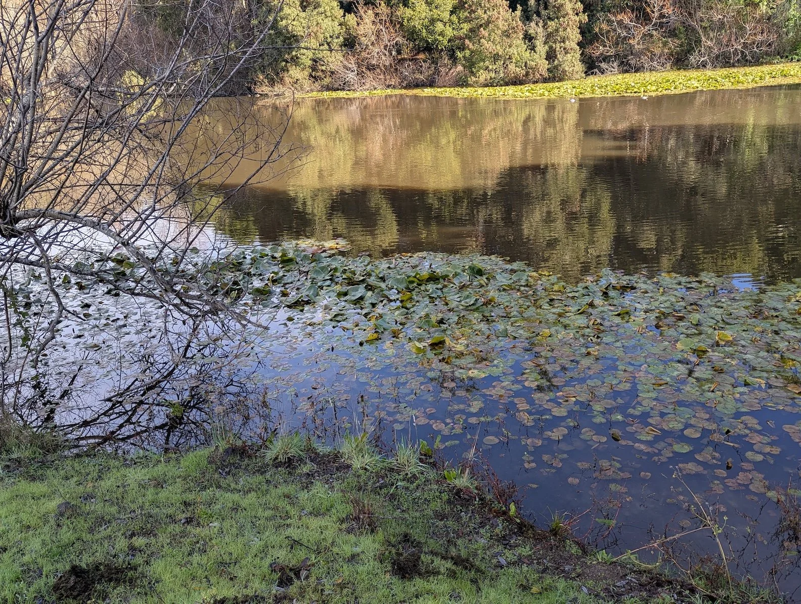 La Honda, California, 2025