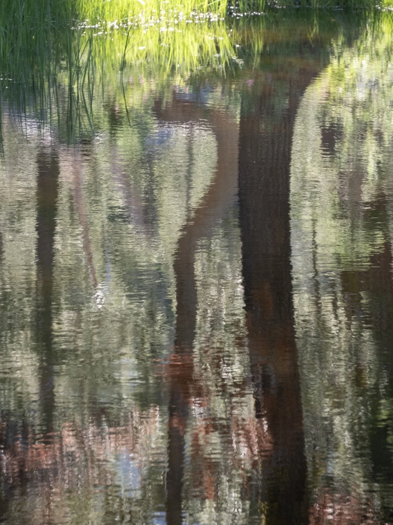 Alpine Lake 2, Tahoe, 2023