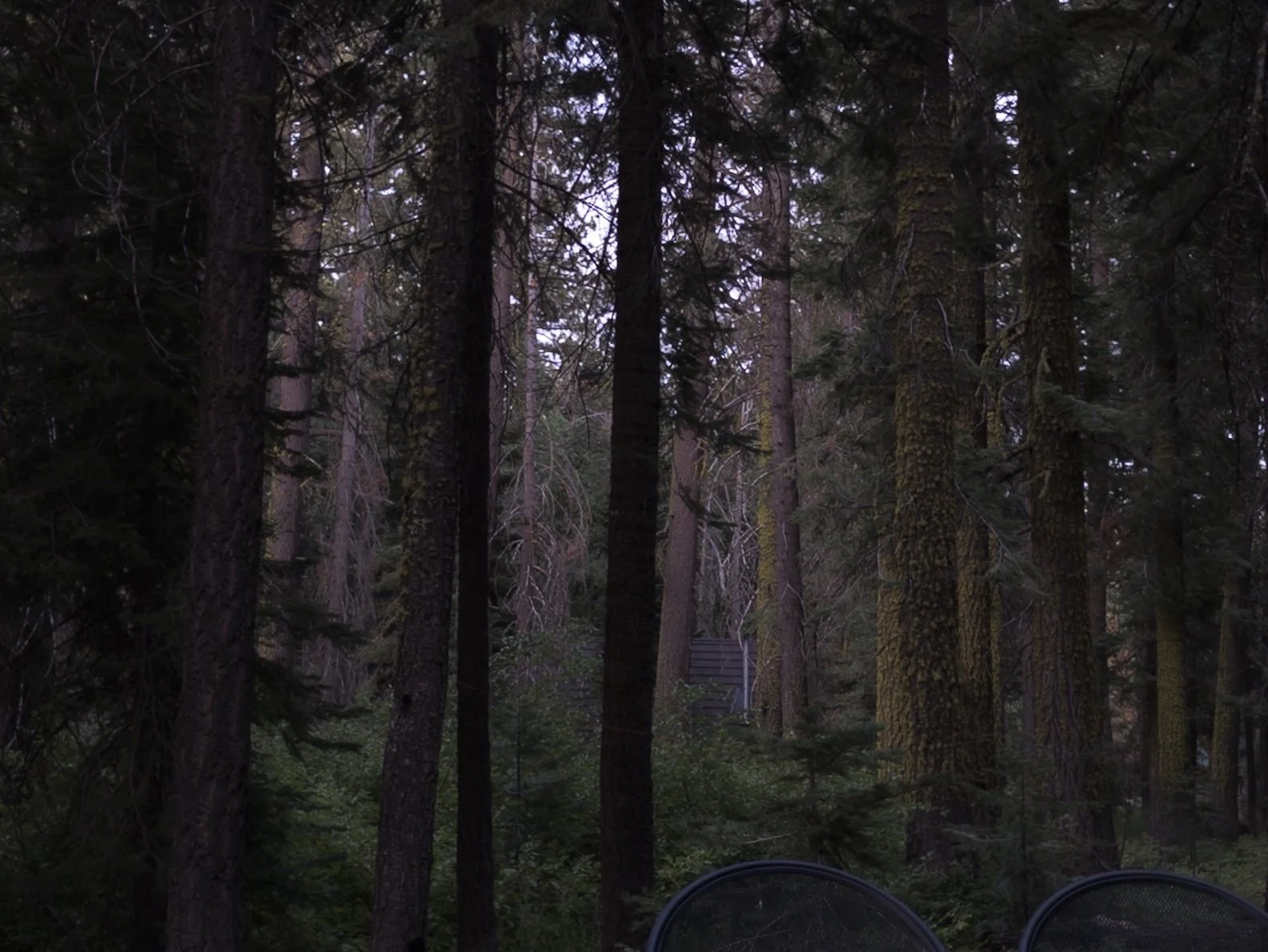 Tahoe Pines, California, 2025