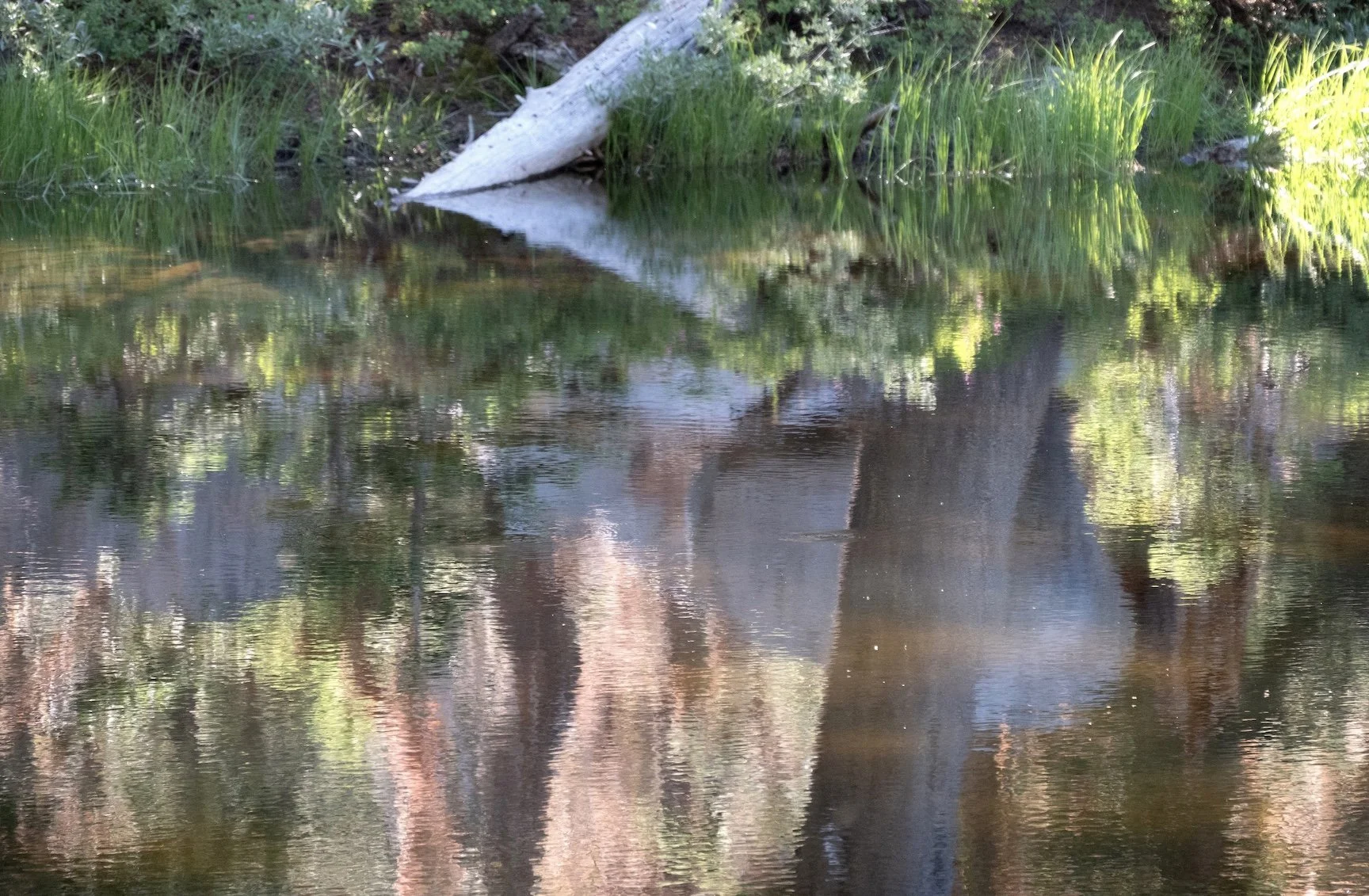 Alpine Lake, Tahoe, 2023