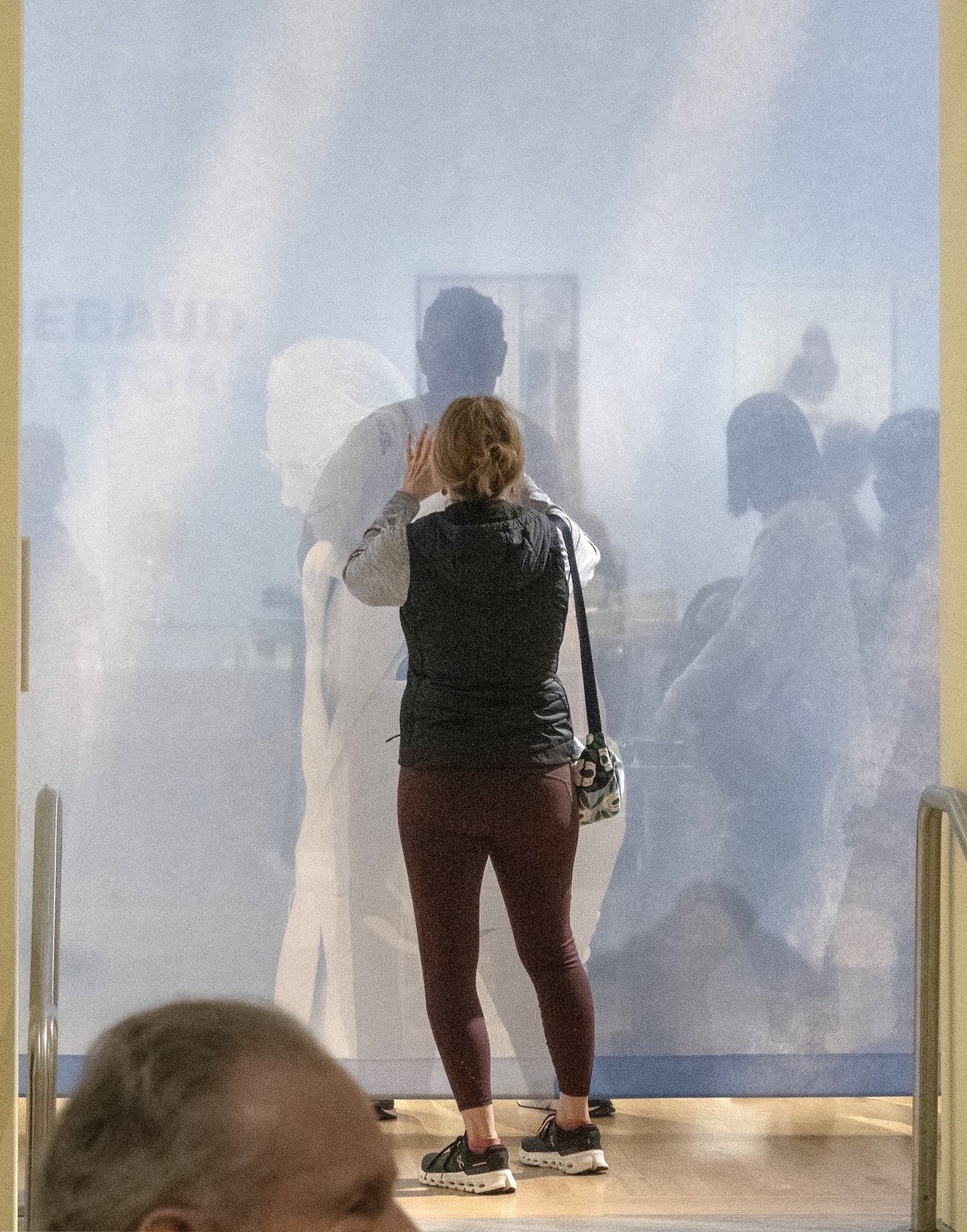 Wayne Thiebaud Scrim, San Francisco, 2025