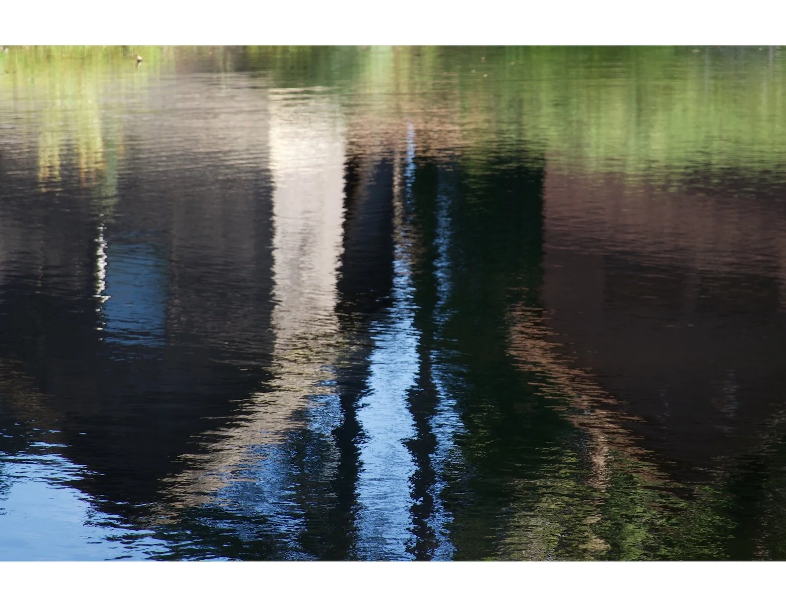 Sugar Pine Point, Tahoe, 2025