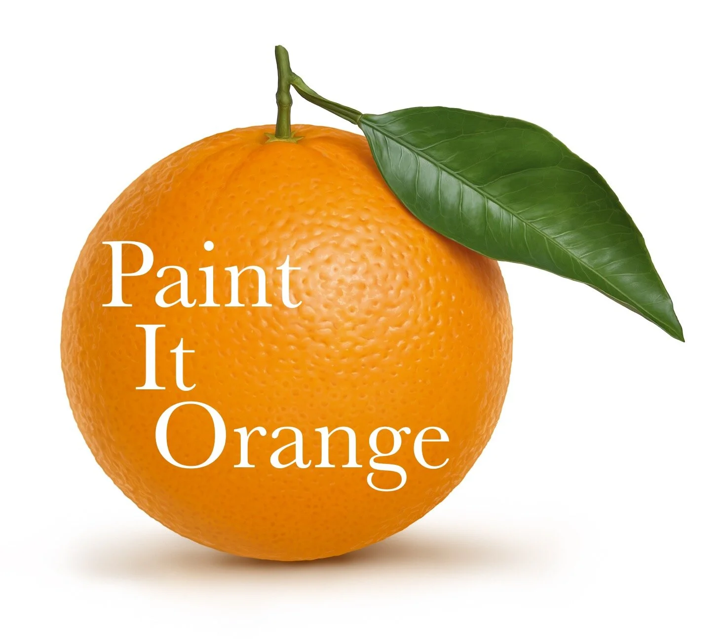 Common Questions Paint It Orange