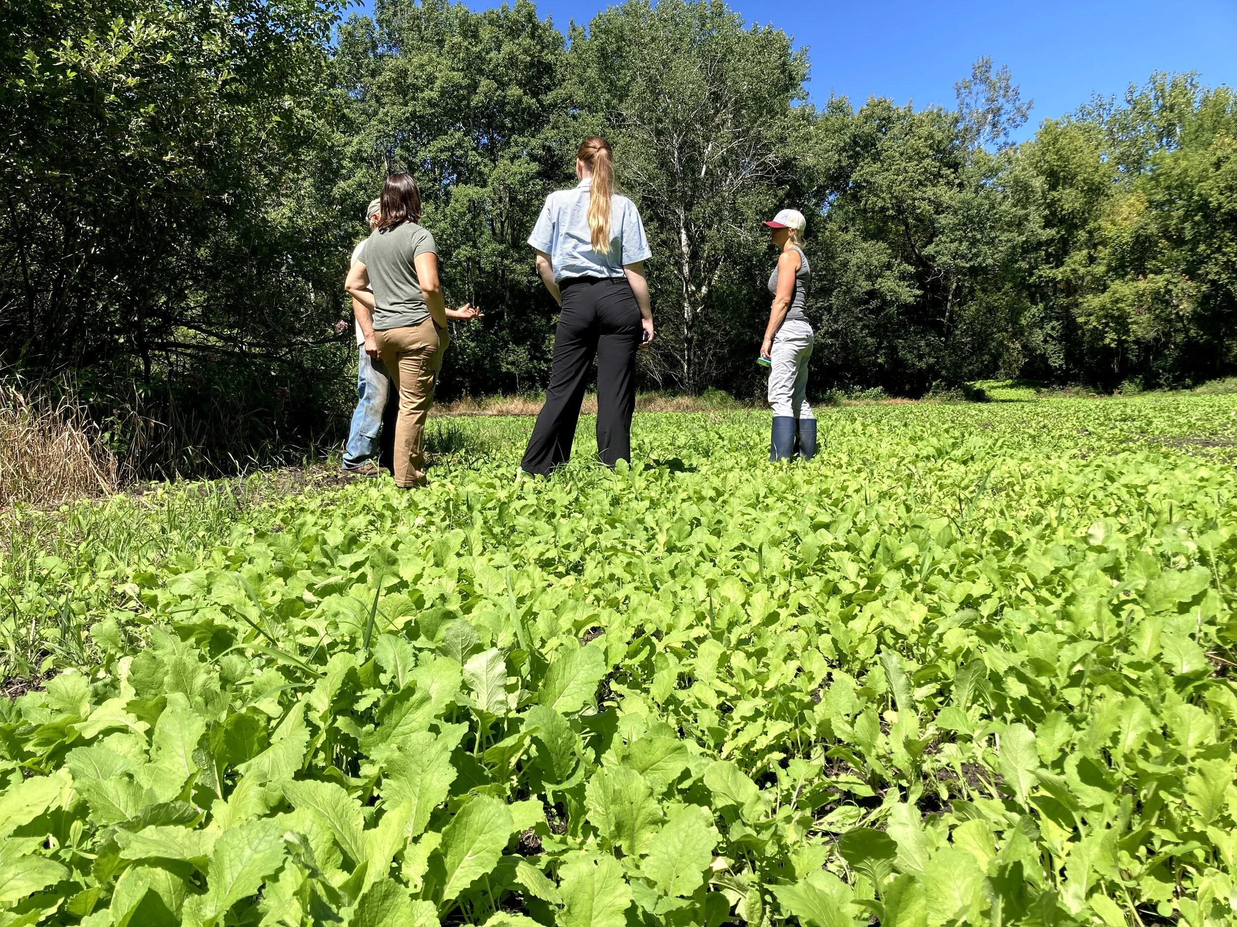 Where the land is neither wet nor dry