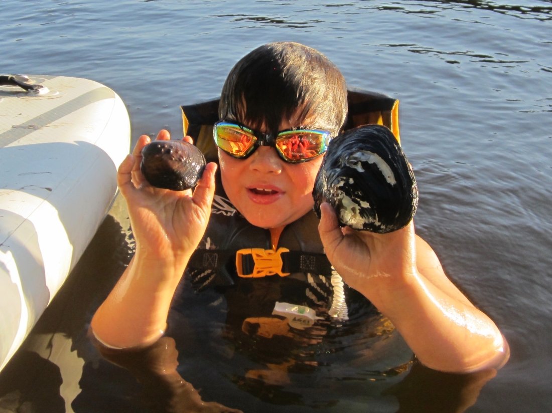 The secret life of the St. Croix’s freshwater mussels