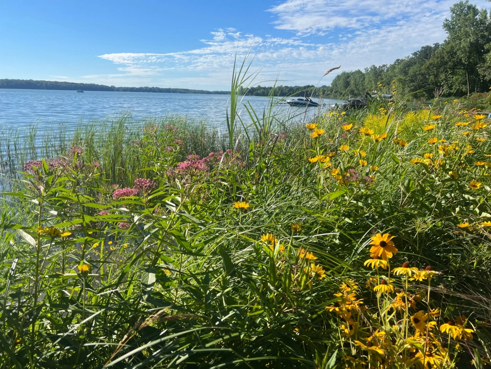 A healthy shore is a happy&nbsp;lake