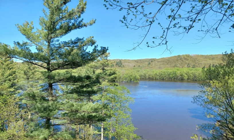 CMSCWD 2022 at a Glance