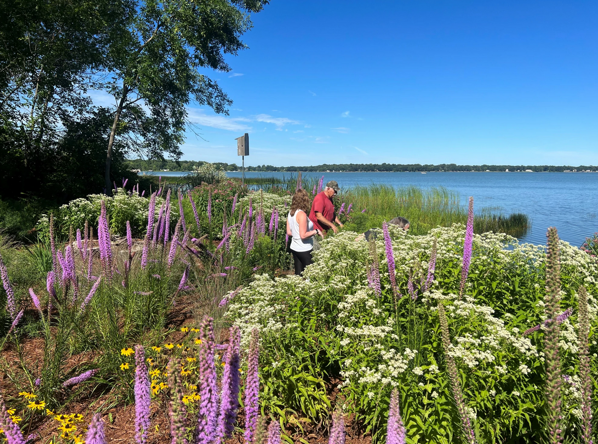Minnesota’s vanishing shorelines – and what we can do about it