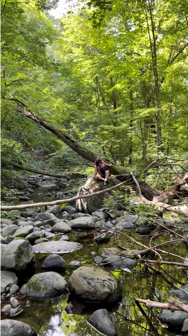 Searching for treasure and coming up&nbsp;nettle