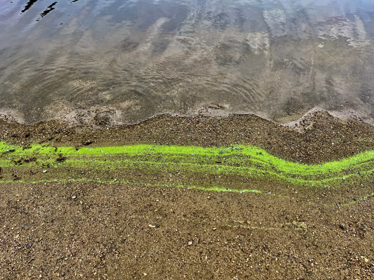 Slowing the nutrient highway