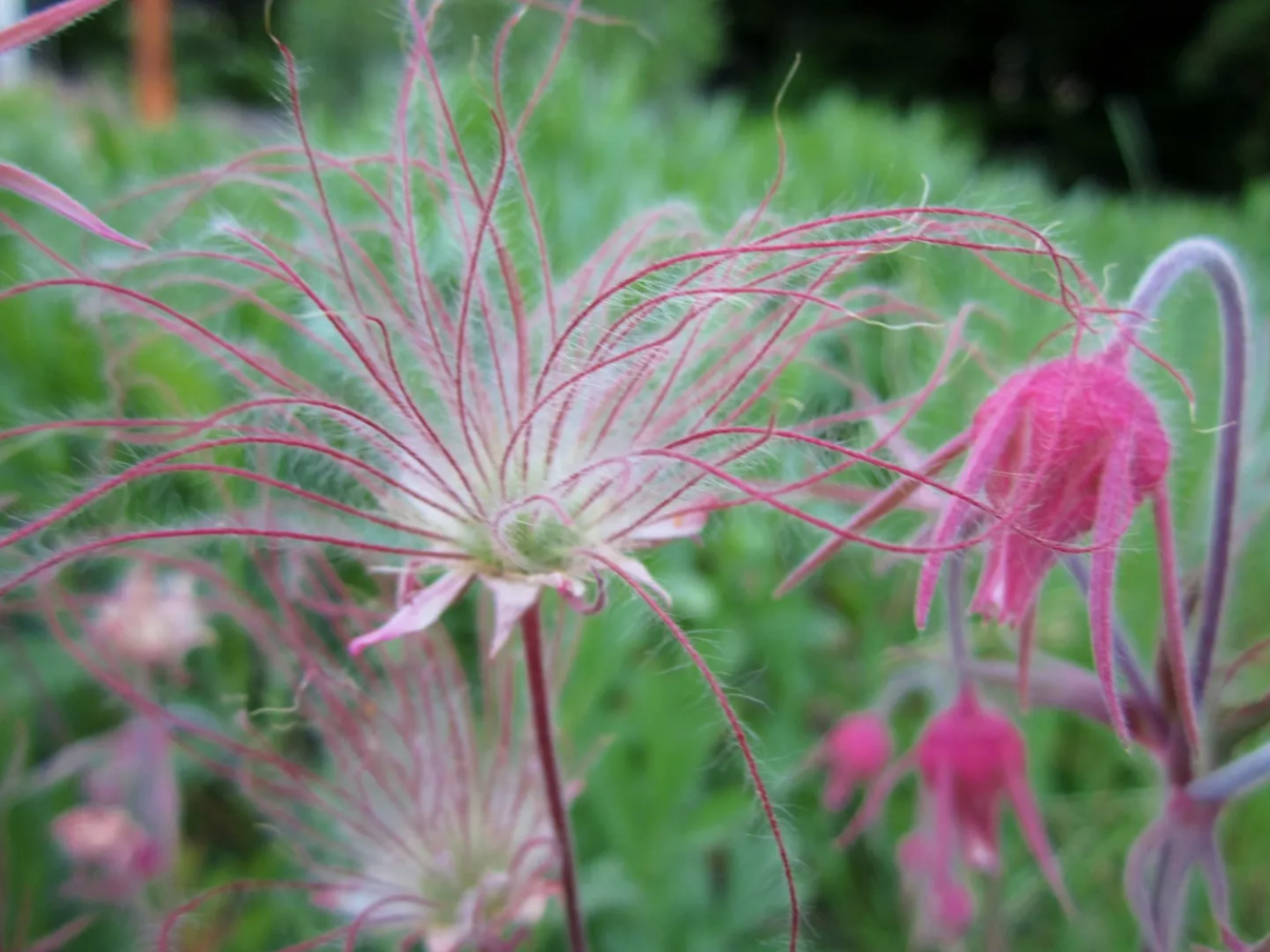 These are a few of my favorite things