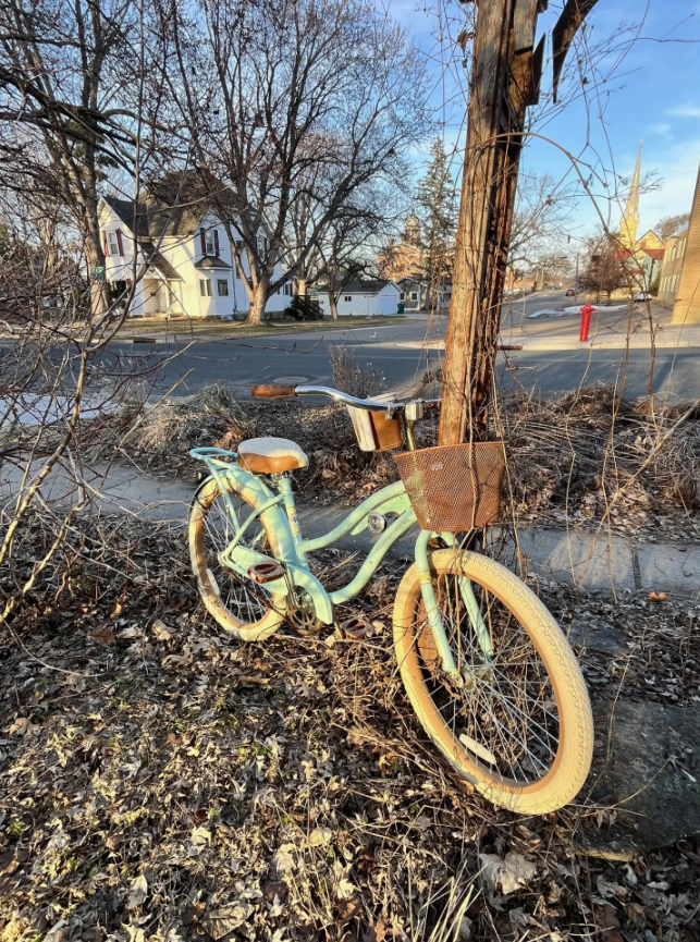 Lazy gardener’s guide to spring