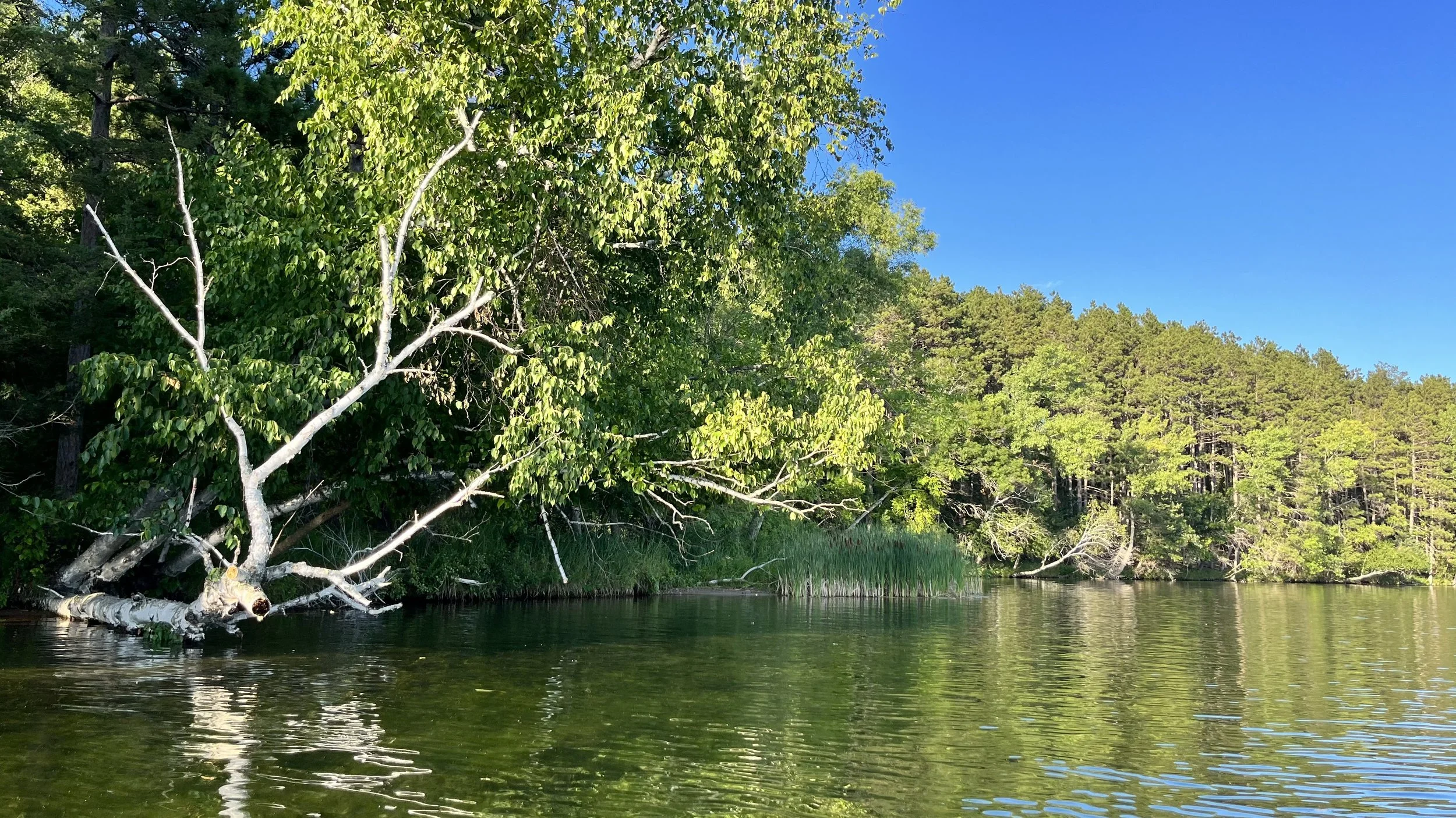 East Metro Lakes Gathering