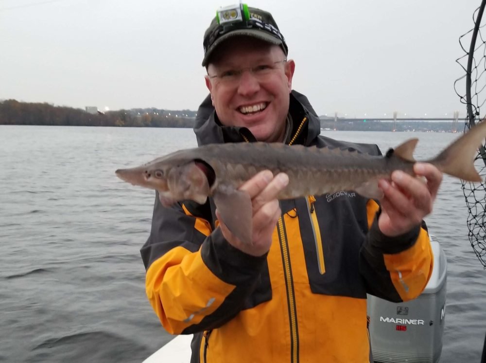 The Travels of Lake Sturgeon — Carnelian-Marine-St Croix Watershed District