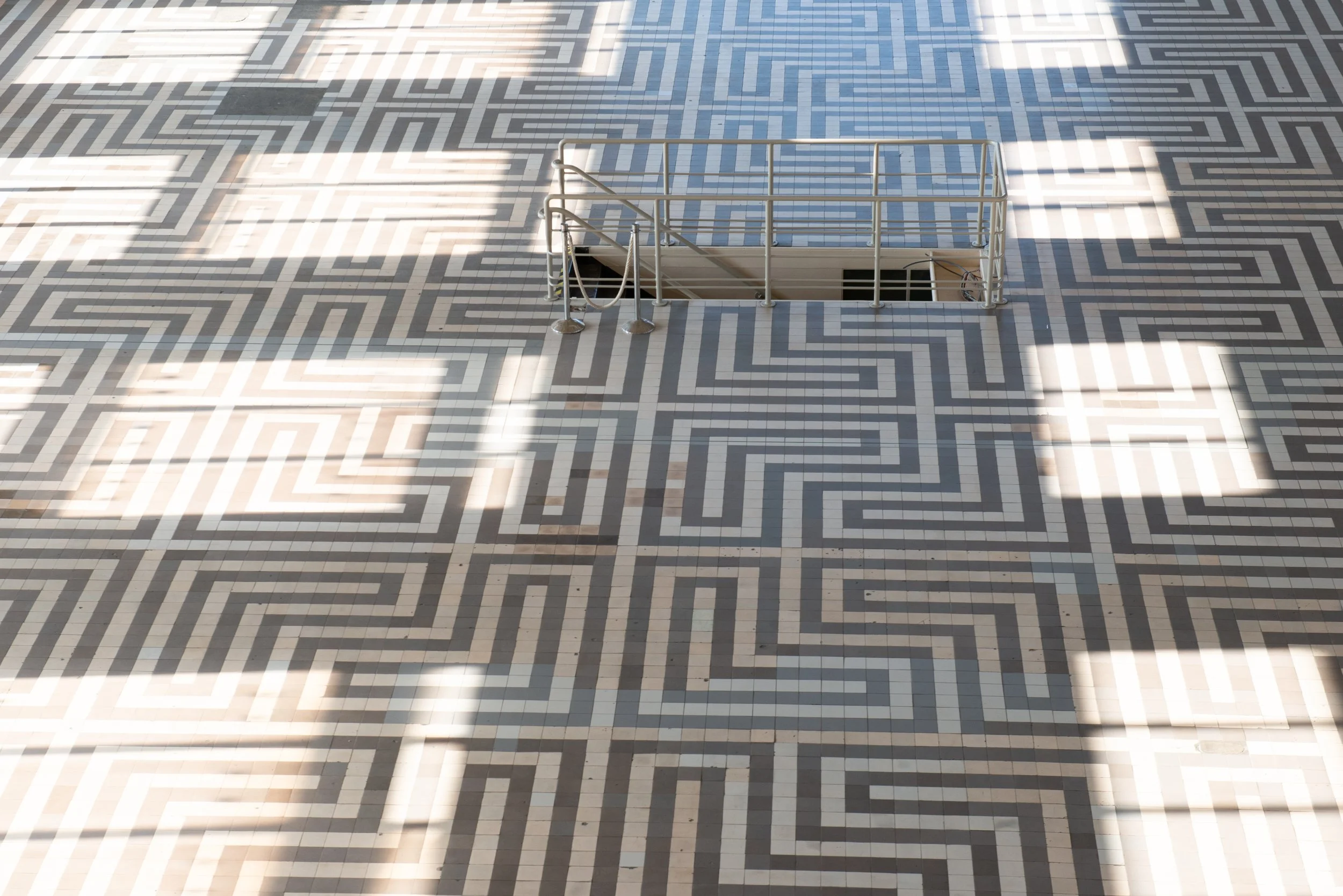 ©Petrina Derksen-2018-LIEFKE-RadioKootwijk-5189.jpg