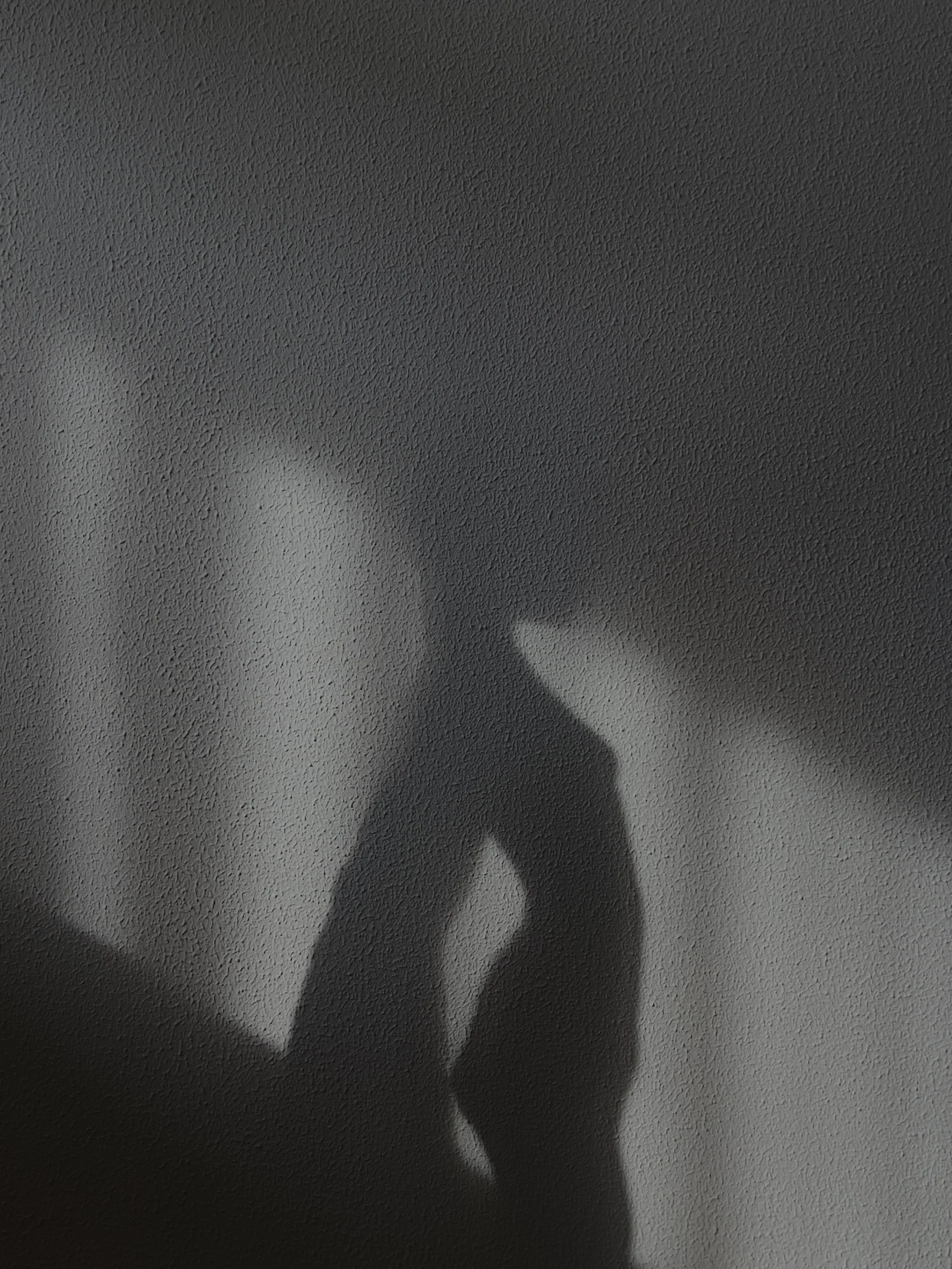room to wander