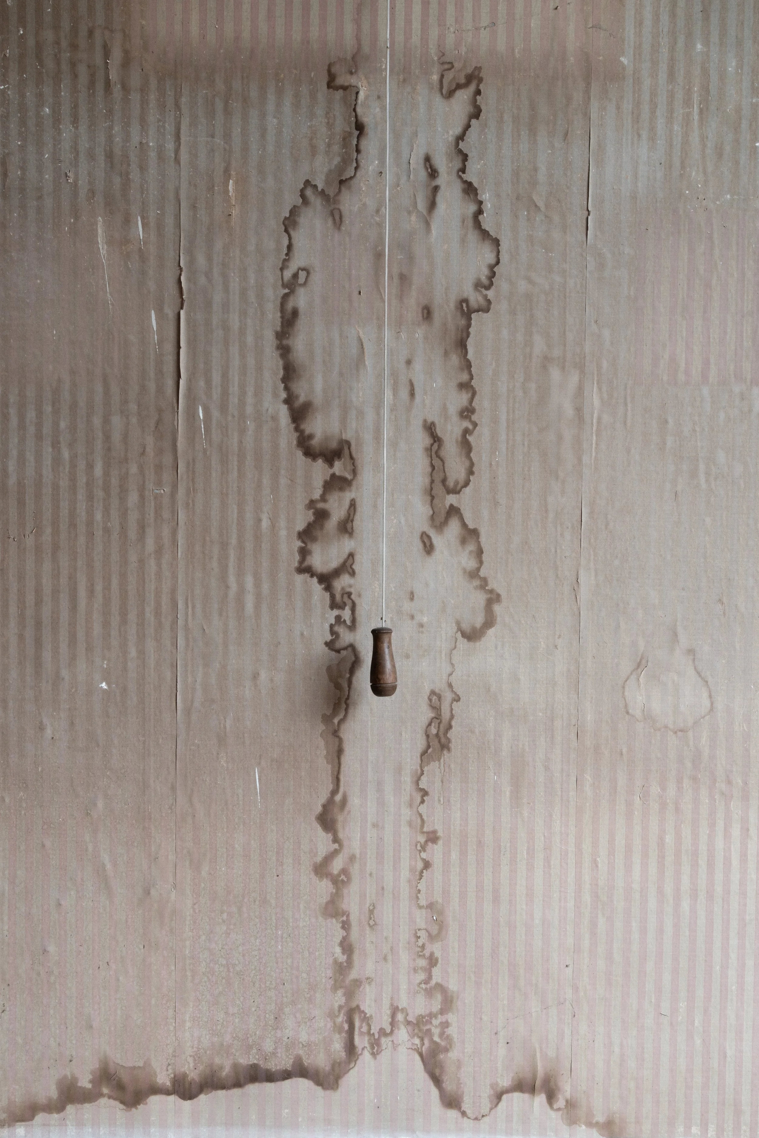 ©Petrina In Between-3016.jpg