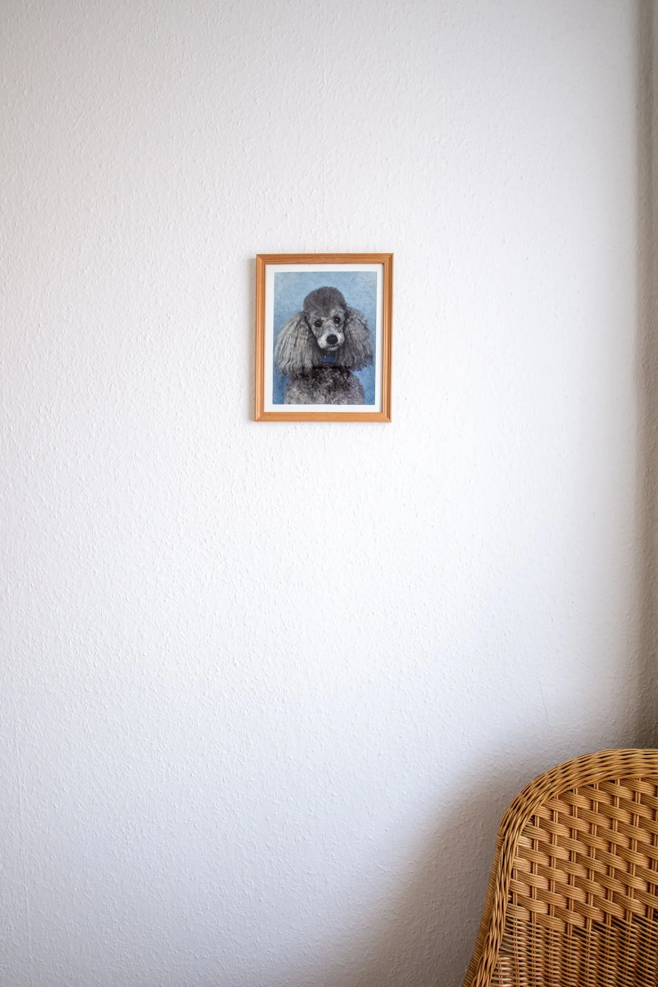 ©Petrina In between-.jpg