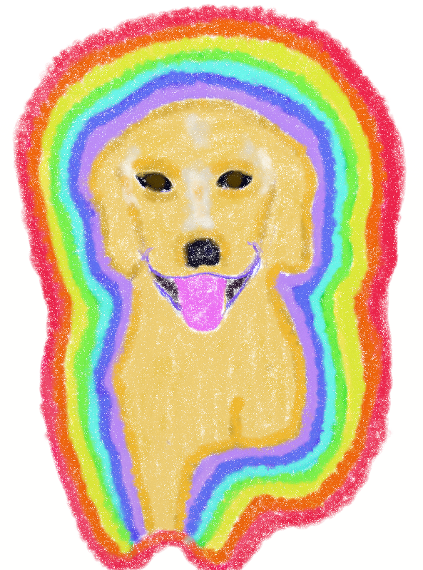 Marshall The Miracle Dog