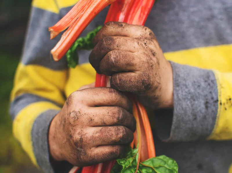 'Dirt Is Good': Why Kids Need Exposure To Germs  by LULU GARCIA-NAVARRO