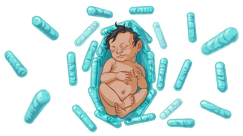 Probiotic Bacteria Could Protect Newborns From Deadly Infection by MICHAELEEN DOUCLEFF