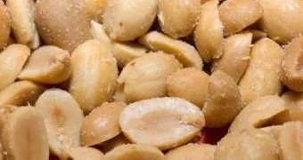 Peanut allergy treatment with probiotics BY SOPHIE SCOTT AND JAMES OATEN