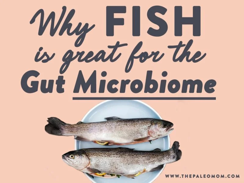 Why Fish is Great for the Gut Microbiome by Dr. Sarah Ballantyne, PhD