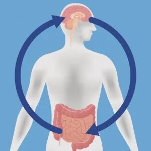 Brain-Gut Connection: Integrative treatments for Digestive Ailments by Michelle Dossett, MD, PhD, MPH