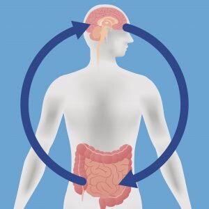 Brain-Gut Connection: Integrative treatments for Digestive Ailments by Michelle Dossett, MD, PhD, MPH