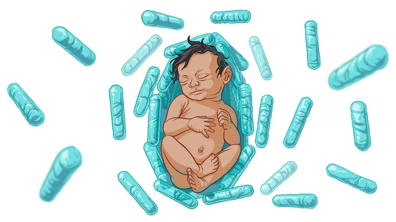 Probiotic Bacteria Could Protect Newborns From Deadly Infection by MICHAELEEN DOUCLEFF