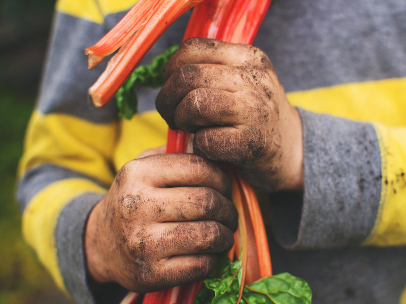 'Dirt Is Good': Why Kids Need Exposure To Germs  by LULU GARCIA-NAVARRO