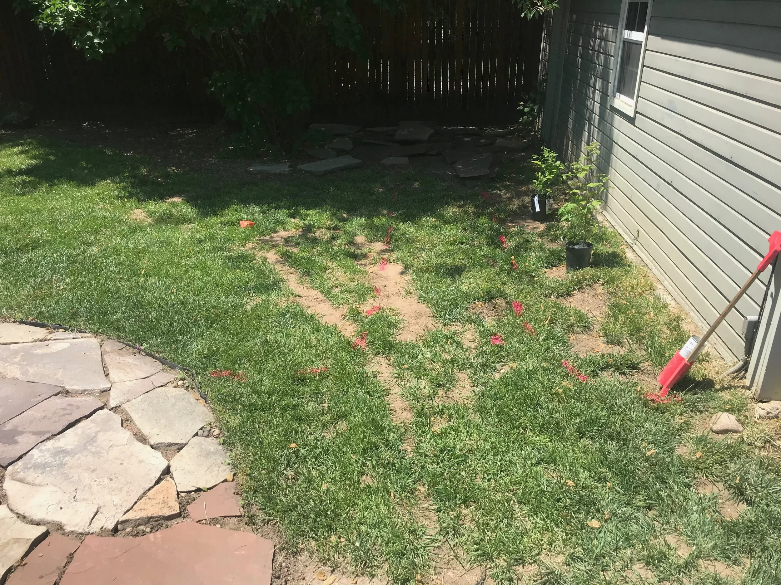 Russell Build - 15 of 75.jpeg