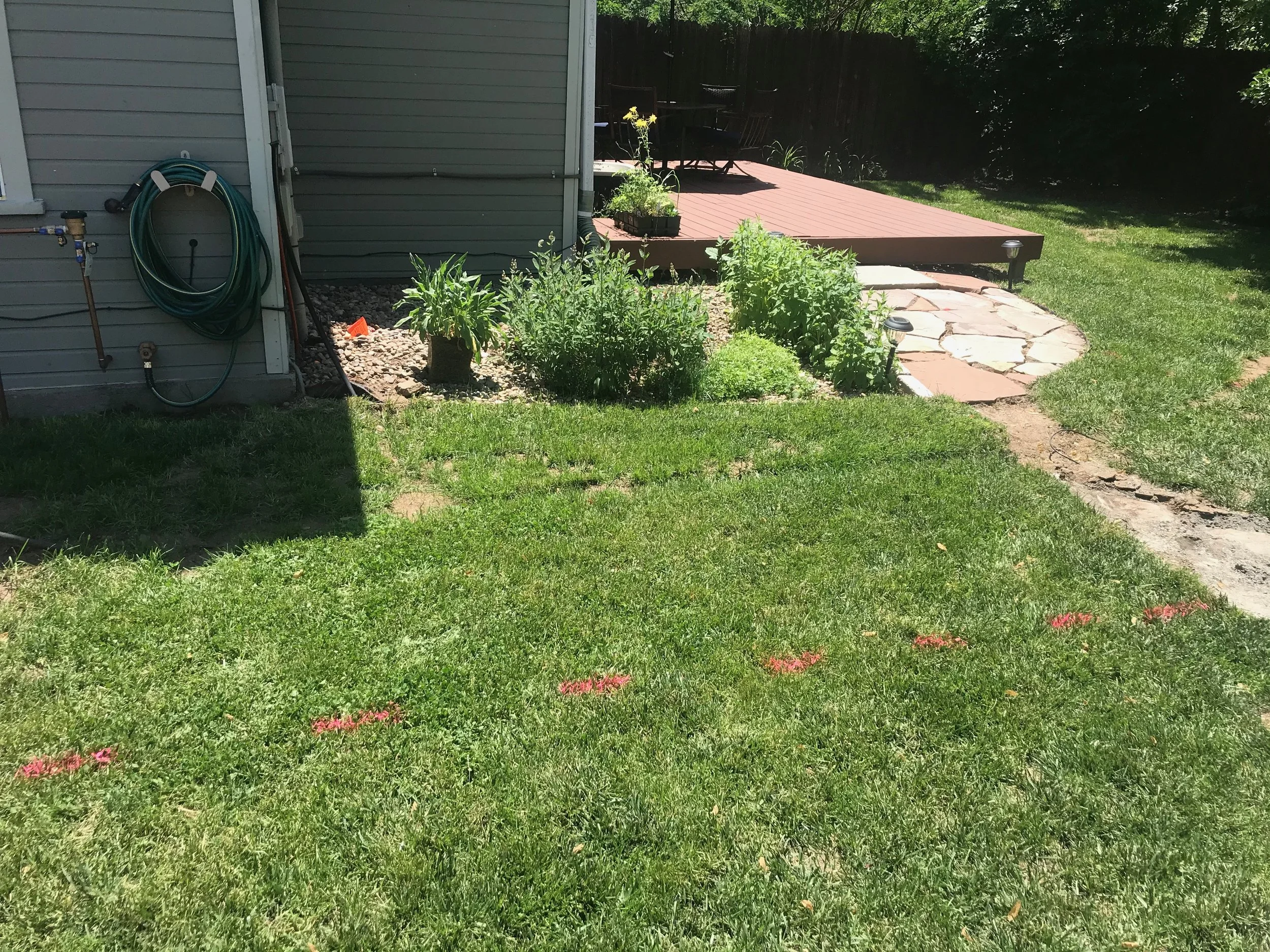 Russell Build - 18 of 75.jpeg