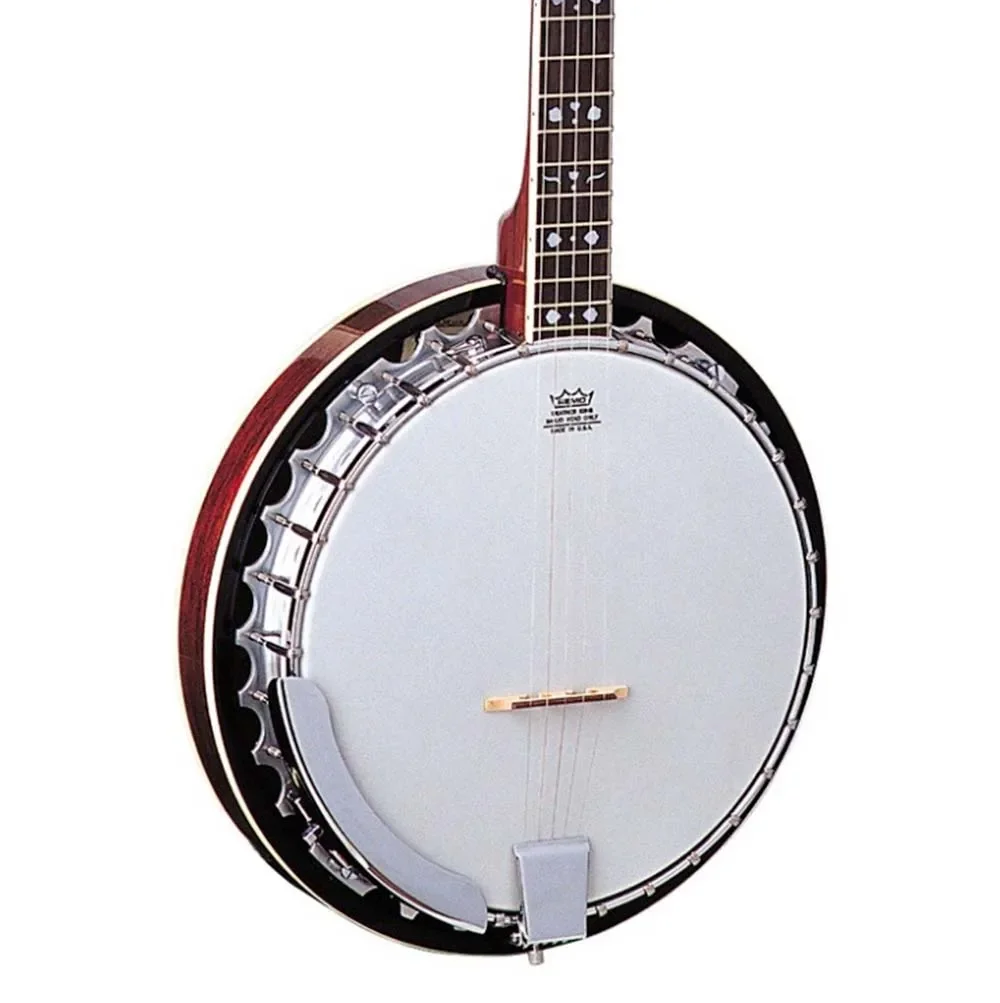 Oscar Schmidt OB5 Banjo