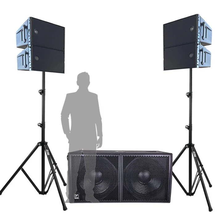Live Sound Small P.A. Package with Subwoofer — Doo Wop Shop