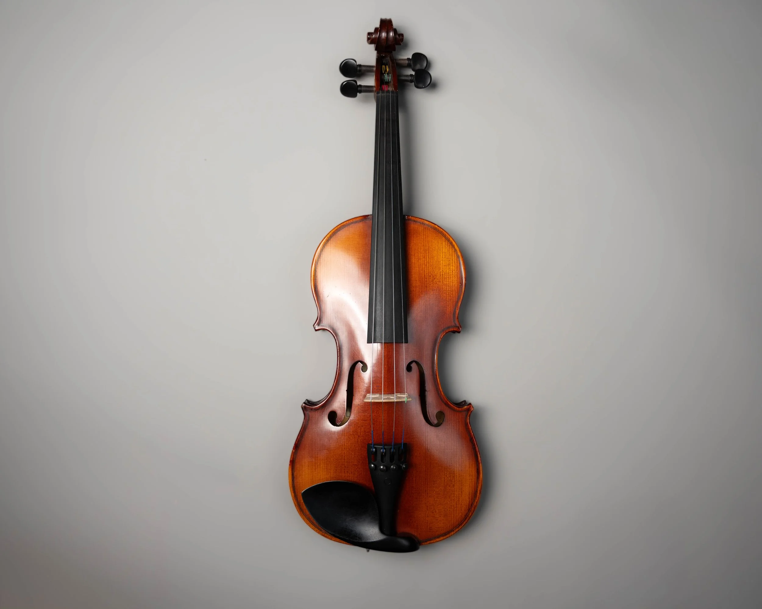 Maple Leaf Strings MLS120 Violin
