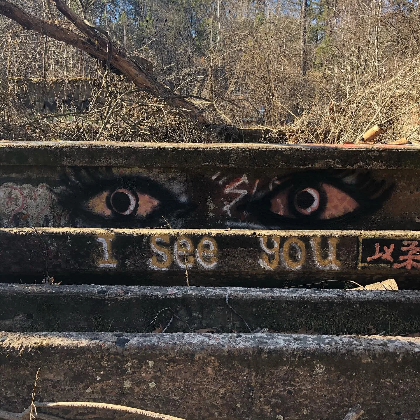 How you see this&mdash;creepy or comforting, sinister or supportive&mdash;can reveal a lot about you. 
👁
Or perhaps, like me, you see a spectrum of energy. It&rsquo;s one of the things that makes me a great intuitive. 
👁
13% discount for 13 moons r