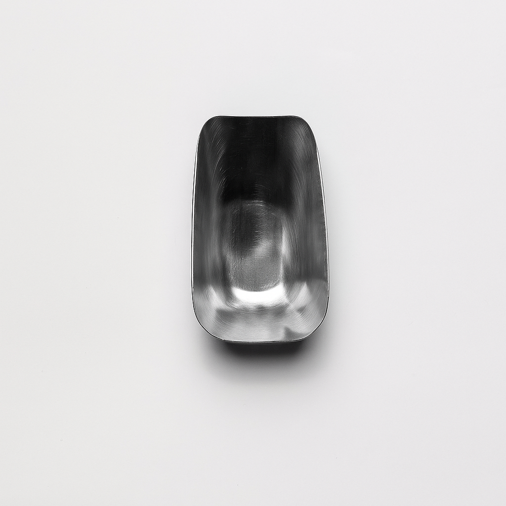 Metal+Scoop.png