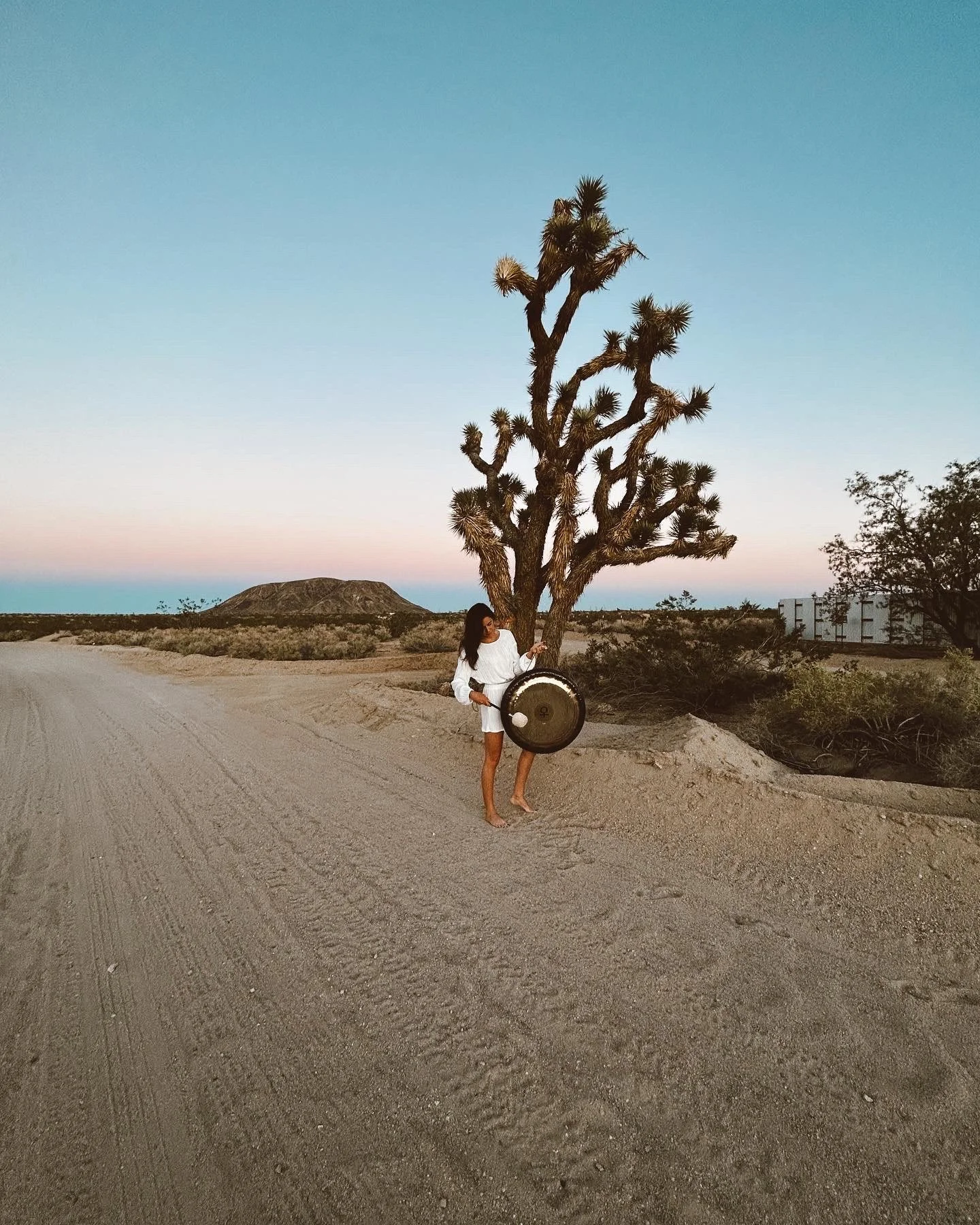 A woman in a white dress holding a gong and a stick in a desert landscape with a Joshua tree and a mountain in the background during sunset.