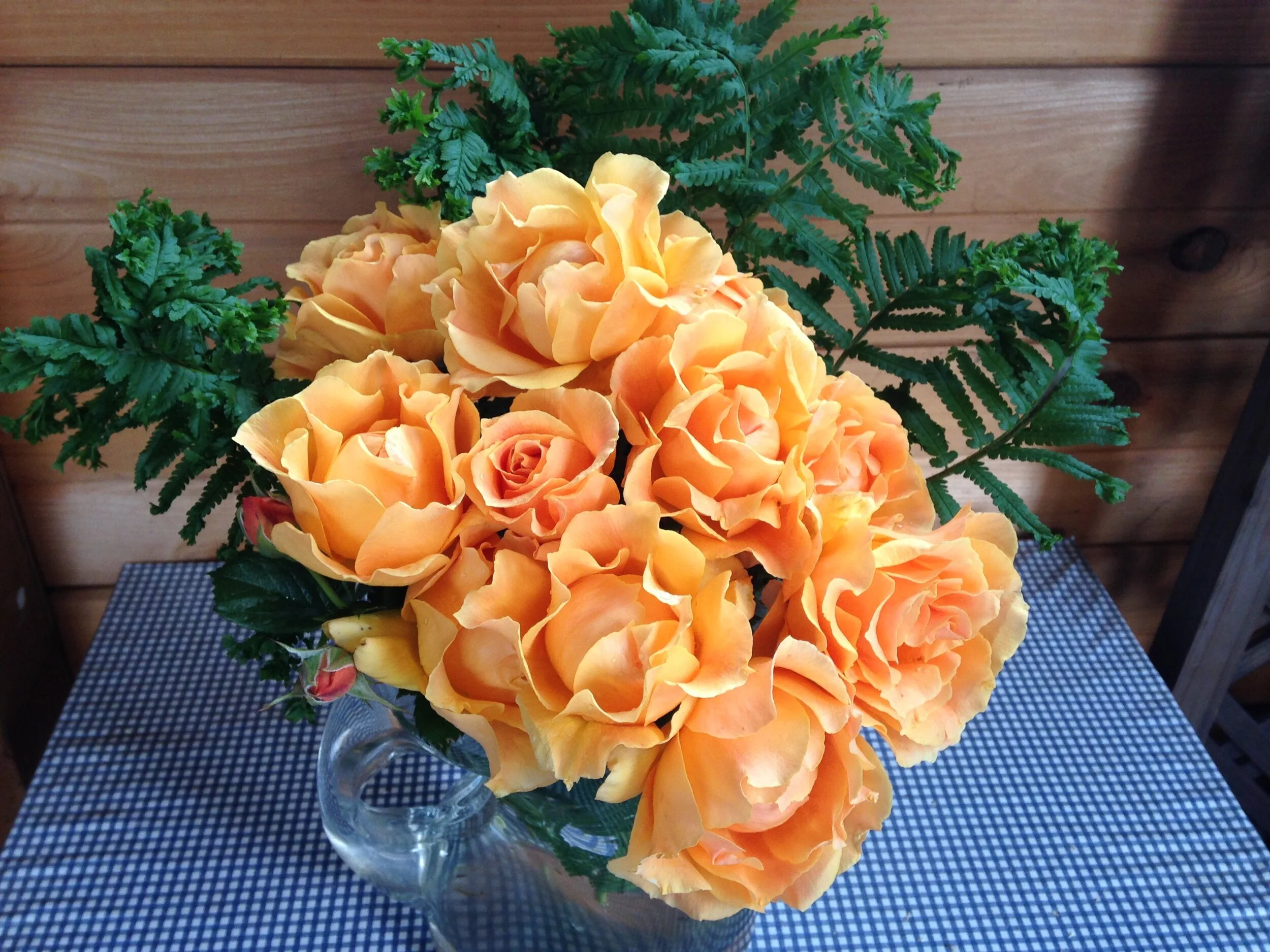 Easy Going — Select Roses