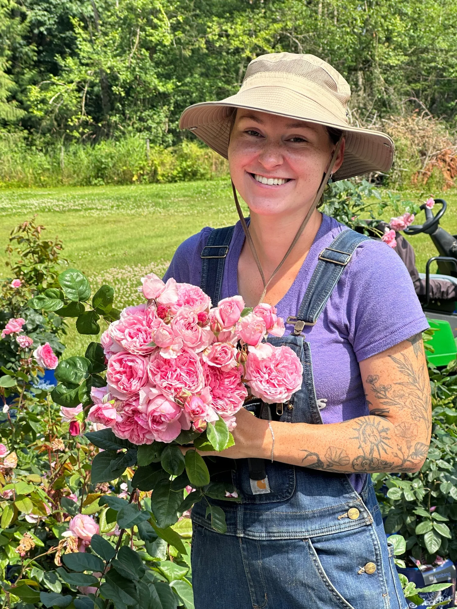 Kiss Me Kate — Select Roses
