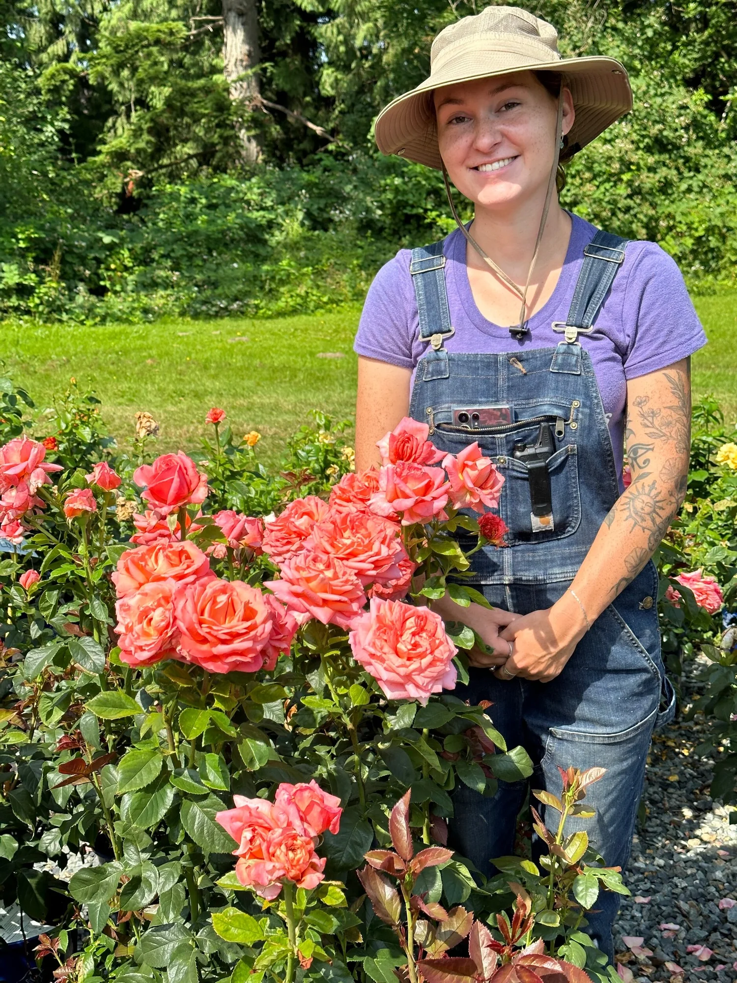 Heavenly Scented — Select Roses