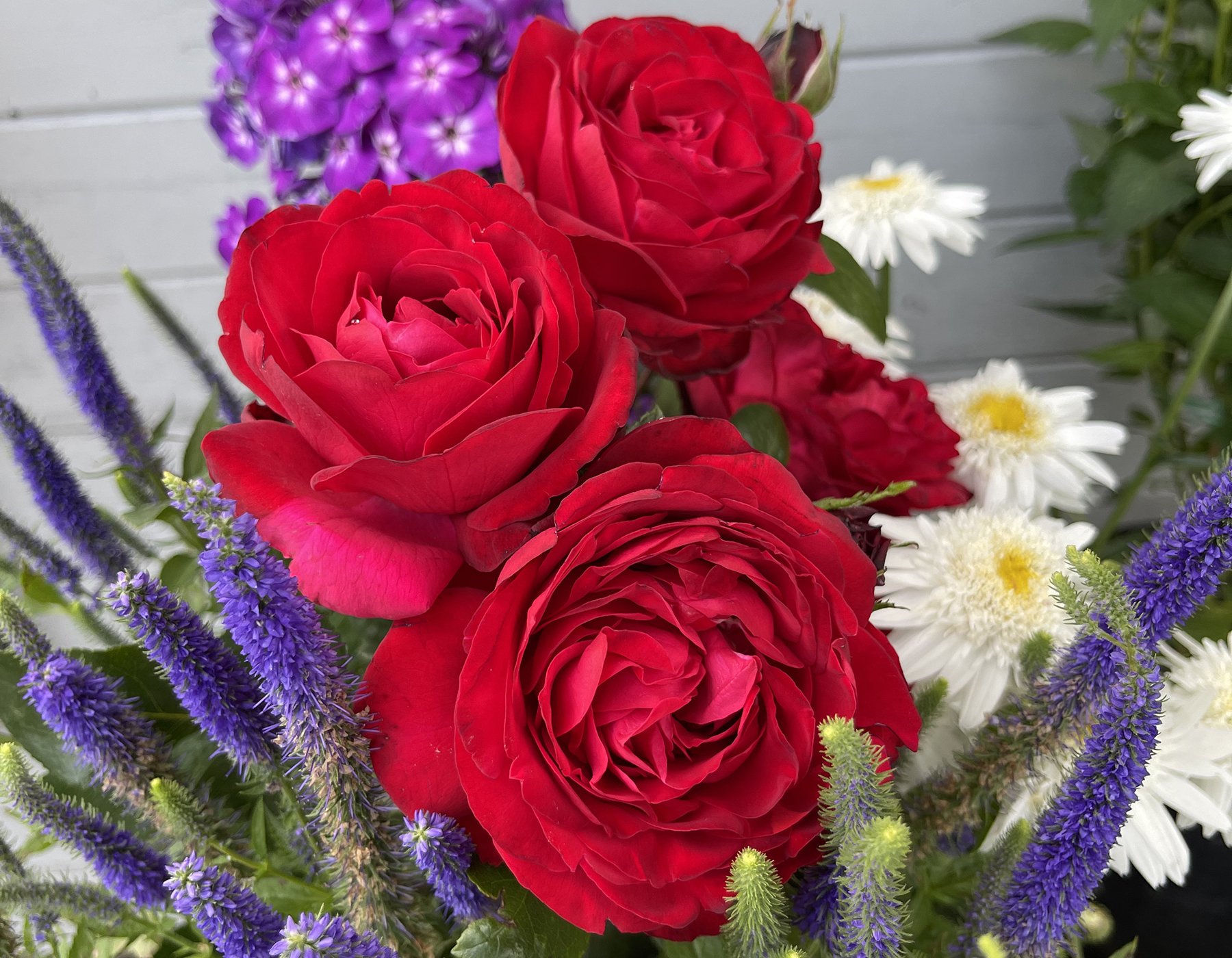 Tiamo_Blooms_016.jpeg