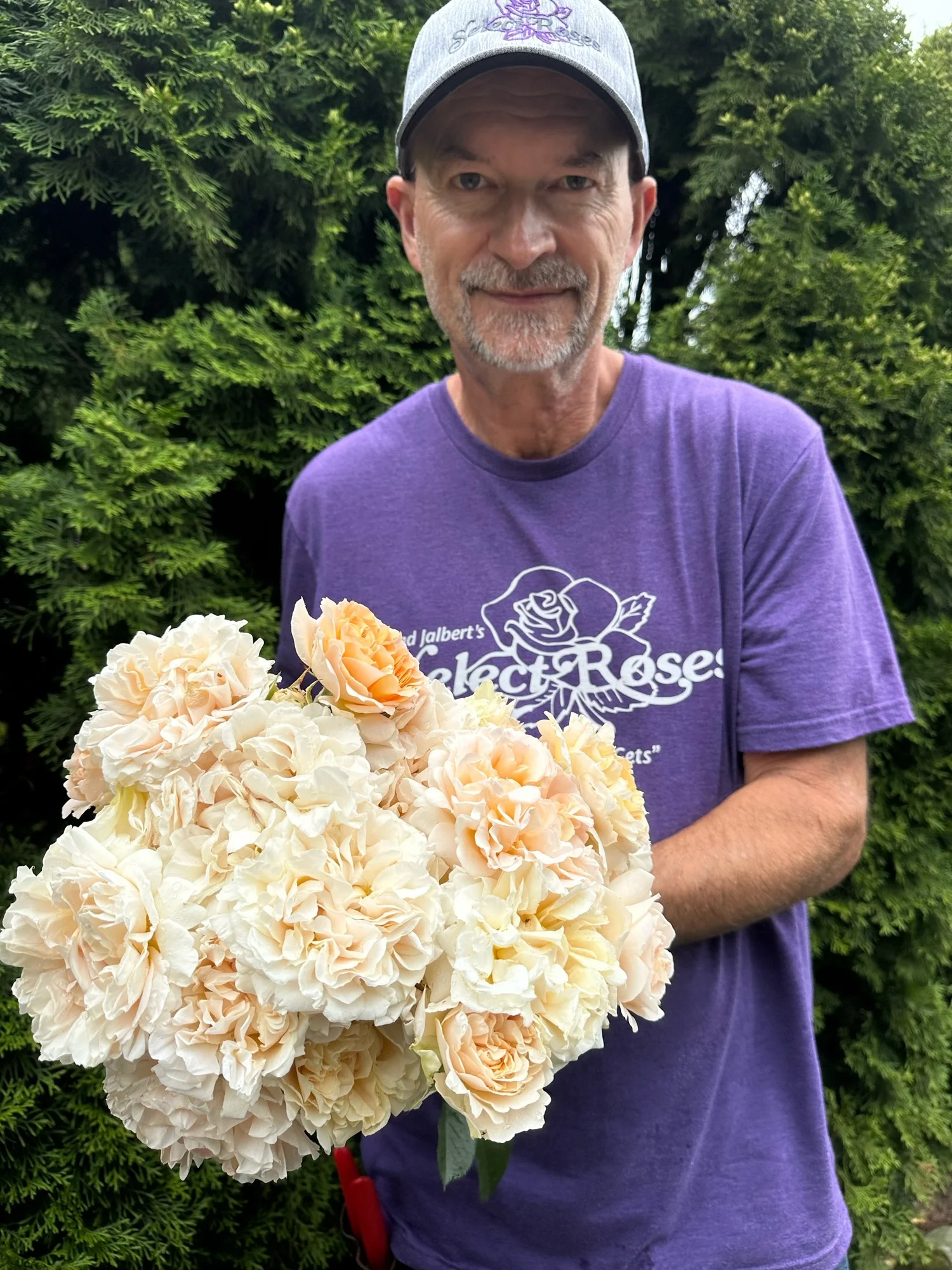 Melissa Darling — Select Roses